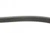 Ремінь генератора BMW 3 (E36) 3.0/3.2 94-99/Mitsubishi Pajero Sport 2.5 DI-D 4WD 08- CONTINENTAL 6PK1515 (фото 2)