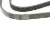 Ремінь генератора BMW 3 (E36) 3.0/3.2 94-99/Mitsubishi Pajero Sport 2.5 DI-D 4WD 08- CONTINENTAL 6PK1515 (фото 3)