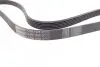 Ремінь генератора Ford Focus 1.8 TDCi 05-12/Skoda Octavia/VW Lupo/Seat Arosa 1.4 i 99-01 CONTINENTAL 6PK1520 (фото 2)