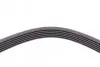 Ремінь генератора Ford Focus 1.8 TDCi 05-12/Skoda Octavia/VW Lupo/Seat Arosa 1.4 i 99-01 CONTINENTAL 6PK1520 (фото 3)