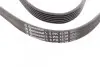 Ремень генератора VW Golf 1.6FSI 02-06/BMW 3 (E46)/5 (E39/E60) 2.0-3.0 97-10/Ford Focus/Kuga 1.5 14- CONTINENTAL 6PK1538 (фото 2)