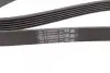 Ремень генератора VW Golf 1.6FSI 02-06/BMW 3 (E46)/5 (E39/E60) 2.0-3.0 97-10/Ford Focus/Kuga 1.5 14- CONTINENTAL 6PK1538 (фото 3)