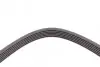Ремень генератора VW Golf 1.6FSI 02-06/BMW 3 (E46)/5 (E39/E60) 2.0-3.0 97-10/Ford Focus/Kuga 1.5 14- CONTINENTAL 6PK1538 (фото 4)