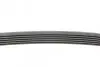 Ремень генератора Skoda Octavia 1.4/1.6 96-10/BMW 5 (E60)/7 (E65/E66/E67)/X5 (E53) 4.4/4.8 01-09 CONTINENTAL 6PK1548 (фото 2)