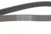 Ремень генератора Skoda Octavia 1.4/1.6 96-10/BMW 5 (E60)/7 (E65/E66/E67)/X5 (E53) 4.4/4.8 01-09 CONTINENTAL 6PK1548 (фото 3)