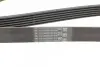 Ремінь генератора VW T5/Amarok 2.0TDI 09-/Ford Focus/Kuga/Galaxy 98-/Opel Astra J/Insignia A 1.6 08- CONTINENTAL 6PK1555 (фото 3)