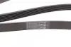 Ремень генератора Citroen Berlingo 1.6 00-08/ Nemo 1.4i 08- CONTINENTAL 6PK1560 (фото 3)
