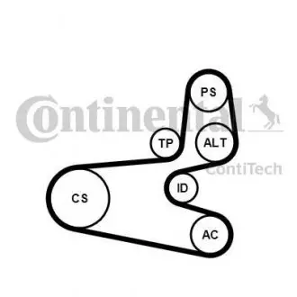 Комплект поликлинового ремня с натяжителем CITROEN BERLINGO, BERLINGO/MINIVAN, NEMO, NEMO/MINIVAN, XSARA PICASSO; PEUGEOT 206, 206+, BIPPER, BIPPER TEPEE, PARTNER 1.1-1.6LPG 06.96- CONTINENTAL 6PK1560K1 (фото 1)