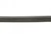 Ремінь генератора Audi A4/A6 1.6-2.0 00-08 CONTINENTAL 6PK1570 (фото 2)