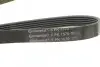 Ремінь генератора Audi A4/A6 1.6-2.0 00-08 CONTINENTAL 6PK1570 (фото 4)