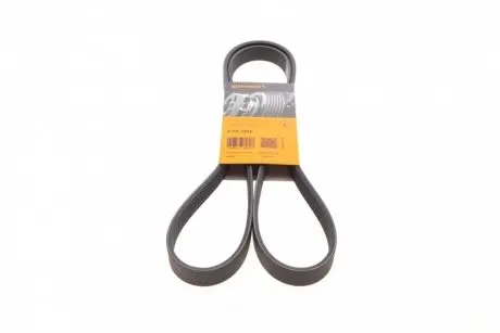 Ремінь генератора поліклиновий CONTINENTAL 6PK1605