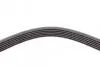 Ремінь генератора VW Crafter 2.0TDI 11-16/Opel Corsa D 1.7CDTI 06-11/Ford Fiesta 1.8DI 00-03 CONTINENTAL 6PK1613 (фото 3)