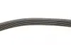 Комплект ременя генератора VW Crafter 2.0TDI 11-16 (6PK1613) CONTINENTAL 6PK1613K1 (фото 2)
