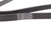 Ремінь генератора VW LT 2.8TDI 97-06/Ford Transit 2.2TDCi 11-14/Citroen Jumper 2.2HDi 11- CONTINENTAL 6PK1642 (фото 2)