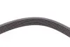 Ремінь генератора VW LT 2.8TDI 97-06/Ford Transit 2.2TDCi 11-14/Citroen Jumper 2.2HDi 11- CONTINENTAL 6PK1642 (фото 4)