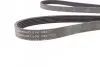 Ремінь генератора VW LT 2.8TDI 01-06/Volvo 850/S70/S80/V70 2.5TDI 95-06/Opel Astra/Insignia 1.6 12- CONTINENTAL 6PK1685 (фото 2)