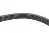 Ремінь генератора VW LT 2.8TDI 01-06/Volvo 850/S70/S80/V70 2.5TDI 95-06/Opel Astra/Insignia 1.6 12- CONTINENTAL 6PK1685 (фото 3)