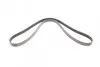 Ремінь генератора VW LT 2.8TDI 01-06/Volvo 850/S70/S80/V70 2.5TDI 95-06/Opel Astra/Insignia 1.6 12- CONTINENTAL 6PK1685 (фото 4)