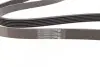 Ремінь генератора Skoda Yeti/Seat Toledo/VW Touran/Caddy 1.2TSI 09-17/Toyota Corolla 1.4/1.6i 01-08 CONTINENTAL 6PK1693 (фото 3)