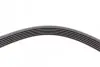 Ремінь генератора Skoda Yeti/Seat Toledo/VW Touran/Caddy 1.2TSI 09-17/Toyota Corolla 1.4/1.6i 01-08 CONTINENTAL 6PK1693 (фото 4)