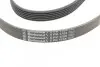 Ремінь генератора Citroen Jumper 1.9TD 94-02 (ALT,PS,AC) CONTINENTAL 6PK1705 (фото 3)