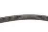 Ремень генератора Opel Astra J/Corsa D 1.7CDTI 09-15/Ford Focus 1.8TDCi 98-04 CONTINENTAL 6PK1715 (фото 2)