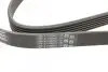 Ремень генератора Opel Astra J/Corsa D 1.7CDTI 09-15/Ford Focus 1.8TDCi 98-04 CONTINENTAL 6PK1715 (фото 3)