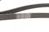 Ремінь генератора VW Golf IV/Passat 1.4/1.6FSI 03-16/Toyota Auris/Avensis 1.4-1.8 03-12 CONTINENTAL 6PK1733 (фото 2)