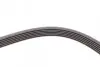 Ремінь генератора VW Golf IV/Passat 1.4/1.6FSI 03-16/Toyota Auris/Avensis 1.4-1.8 03-12 CONTINENTAL 6PK1733 (фото 4)