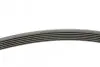 Ремінь генератора Peugeot 206/406/806/Expert/Fiat Scudo/Citroen C5/C8/Jumpy 1.9D/2.0HDI 95- CONTINENTAL 6PK1740 (фото 2)