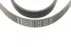 Ремінь генератора Peugeot 206/406/806/Expert/Fiat Scudo/Citroen C5/C8/Jumpy 1.9D/2.0HDI 95- CONTINENTAL 6PK1740 (фото 3)