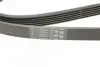 Ремінь генератора Peugeot 206/406/806/Expert/Fiat Scudo/Citroen C5/C8/Jumpy 1.9D/2.0HDI 95- CONTINENTAL 6PK1740 (фото 4)