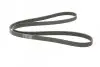 Ремінь генератора Peugeot 206/406/806/Expert/Fiat Scudo/Citroen C5/C8/Jumpy 1.9D/2.0HDI 95- CONTINENTAL 6PK1740 (фото 5)