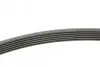 Ремінь генератора Peugeot 206/306/4007/406/4007/Citroen C5 1.9TD/2.0/2.2HDI 96-/Ford Galaxy 2.2 08- CONTINENTAL 6PK1743 (фото 2)