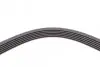 Ремінь генератора Renault Clio/Laguna/Megane 1.4/1.6 97-05/Ford Fiesta 1.25/1.4 95-02 CONTINENTAL 6PK1750 (фото 4)