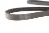 Ремень генератора BMW 3 (E90) 3.2D 07-11/ Ford Transit 2.13 16V/Renault Laguna 2.2 dCi 01- CONTINENTAL 6PK1780 (фото 3)