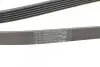 Ремень генератора Opel Combo/Astra/Vectra/Omega 1.2-2.2 91-03/BMW 1 (E81/E87) 2.0D 04-11 CONTINENTAL 6PK1800 (фото 3)