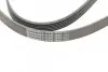 Ремень генератора Opel Combo/Astra/Vectra/Omega 1.2-2.2 91-03/BMW 1 (E81/E87) 2.0D 04-11 CONTINENTAL 6PK1800 (фото 4)