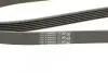 Ремень генератора Renault Trafic 1.9dCi 01-/Opel Insignia 2.0CDTi 14-/Honda Civic 1.3 06- CONTINENTAL 6PK1830 (фото 4)