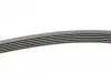 Ремінь генератора Toyota Corolla 1.6/1.8 04-09/BMW 3 (E46/E90)/X1 (E84) 1.6/2.0 01-15 CONTINENTAL 6PK1870 (фото 2)