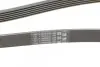 Ремінь генератора Toyota Corolla 1.6/1.8 04-09/BMW 3 (E46/E90)/X1 (E84) 1.6/2.0 01-15 CONTINENTAL 6PK1870 (фото 3)