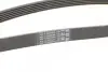 Ремінь генератора Audi A4/A6/A8 2.4/2.6/2.8 95- CONTINENTAL 6PK1880 (фото 3)