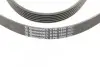 Ремінь генератора Audi A4/A6/A8 2.4/2.6/2.8 95- CONTINENTAL 6PK1880 (фото 4)