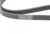 Ремень генератора VW T4 2.0i 91-03/Opel Vectra 2.2 98-05/Toyota Avensis 1.6/1.8 00-03 CONTINENTAL 6PK1900 (фото 3)