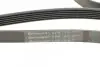 Ремінь генератора Ford Focus 1.4/1.6 16V 98-04 CONTINENTAL 6PK1915 (фото 4)