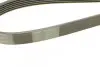 Ремінь генератора Infiniti FX/M45/Lexus GS/Mitsubishi Outlander 1.8-4.5 93- CONTINENTAL 6PK1940 (фото 3)