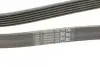 Ремінь генератора MB Vito OM601/602 (AC)/ M111 (PS) CONTINENTAL 6PK2013 (фото 3)
