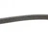 Ремень генератора MB C-class (W202) 93-01/E-class (W124) 93-98/Ssangyong Korando 96-06/Dodge 06- CONTINENTAL 6PK2040 (фото 2)