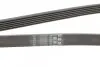 Ремень генератора MB C-class (W202) 93-01/E-class (W124) 93-98/Ssangyong Korando 96-06/Dodge 06- CONTINENTAL 6PK2040 (фото 3)