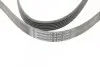 Ремень генератора MB C-class (W202) 93-01/E-class (W124) 93-98/Ssangyong Korando 96-06/Dodge 06- CONTINENTAL 6PK2040 (фото 4)